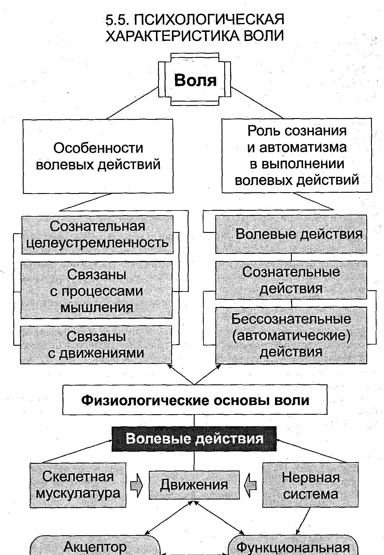 Схема функции волевых действий. Воля в психологиисмемы. Схемы по психологии. Особенности волевых процессов.