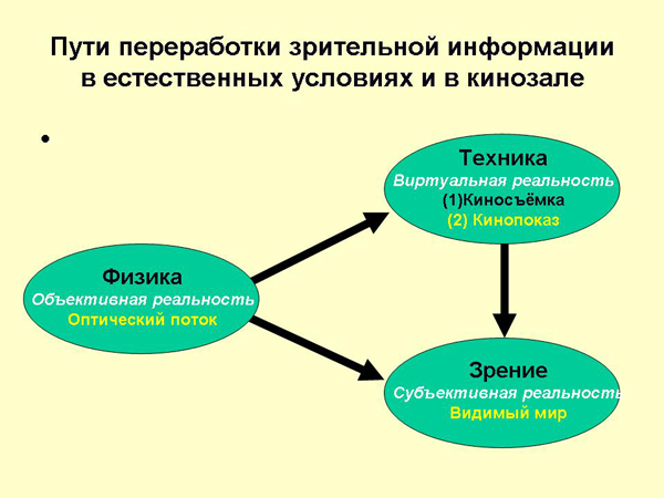 Первичная зрительная информация. Переработка зрительной информации. Пути переработки зрительной информации. Стадии переработки зрительной информации. Место первичной переработки зрительной информации.