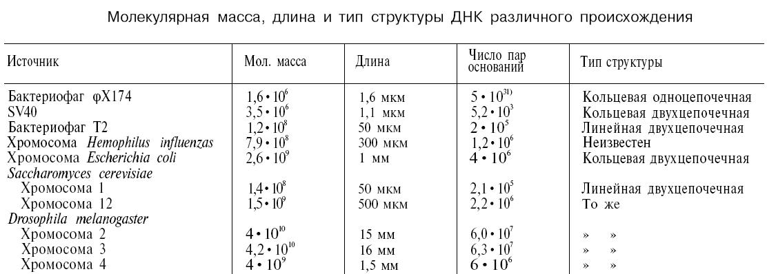 Масса 1 днк. Молекулярная масса молекулы ДНК. Масса ДНК. Молярная масса молекулы ДНК. Относительная молекулярная масса ДНК.