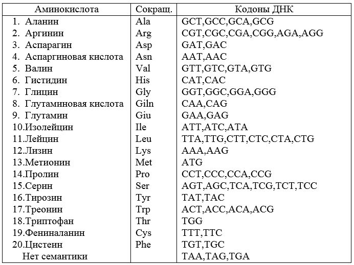 Аминокислоты дне. Шифр аминокислот. Шифр ДНК. Шифровка ДНК. Шифры аминокислот на английском.