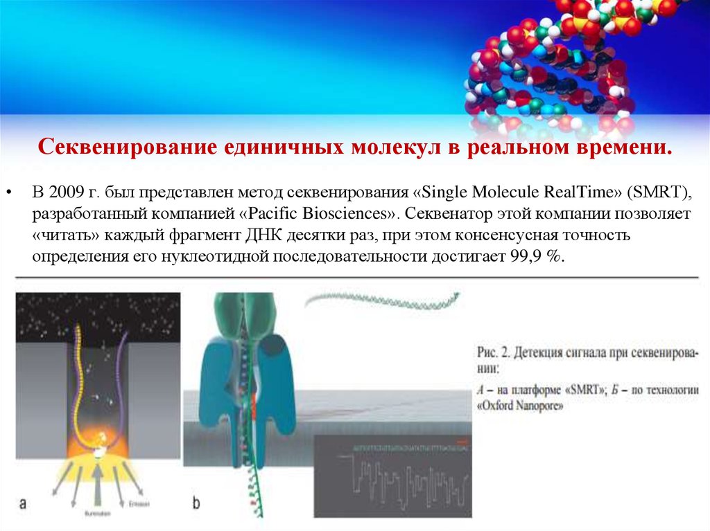 Экзомное секвенирование. Одномолекулярное секвенирование. Современные методы секвенирования ДНК. Современные методы секвенирования ДНК презентация. Секвенирование одиночных молекул.