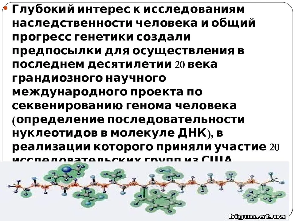 В работе международного проекта геном человека россия 1 балл принимала участие не принимала участия