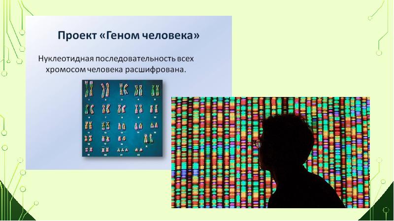 Расшифрованные геномы. Проект геном человека. Международный проект геном человека. Расшифровка генома человека. Геном человека презентация.