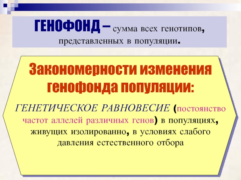 Генофонд это. Сумма всех генотипов в популяции. Сумма всех генотипов представленных популяции. Генетическое равновесие популяции это. Генетическое равновесие в популяциях и его нарушения.