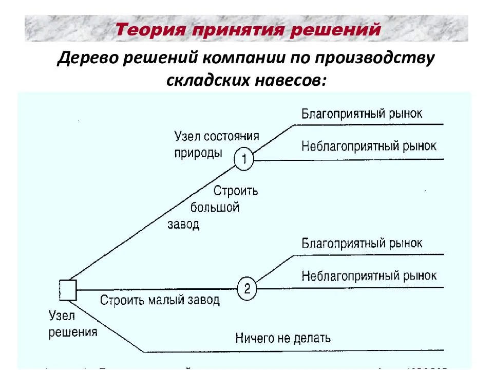 Теория точки