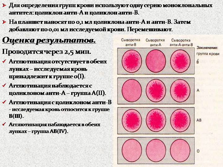 Определение группы крови на планшете картинки с описанием