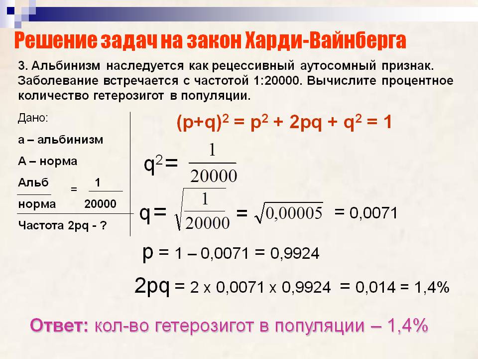 Задачи на харди вайнберга