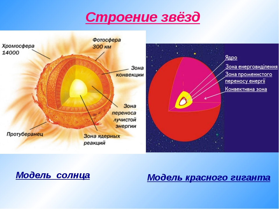 Проект из чего состоят звезды