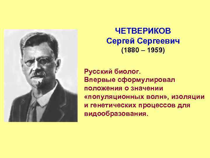 С. Четвериков вклад. Четвериков лекции. Четвериков лекции. Четвериков лекции.