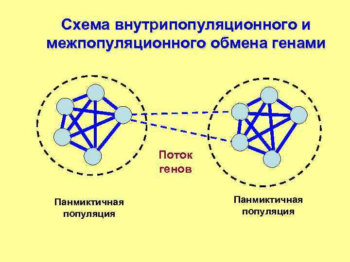 Обмен генами